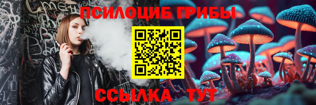 Домодедово  Псилоцибиновые грибы прущие грибы  дарнет шоп  Вход с VPN 